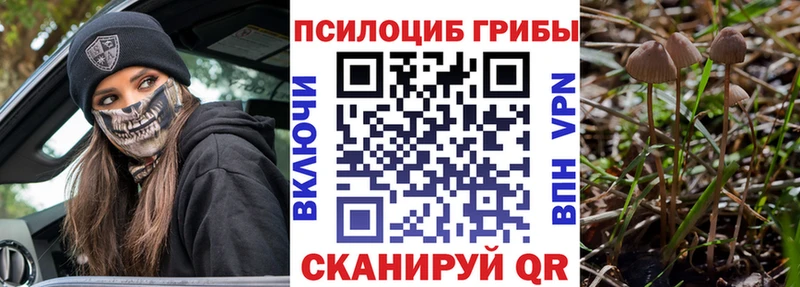 Галлюциногенные грибы прущие грибы  Полярный 